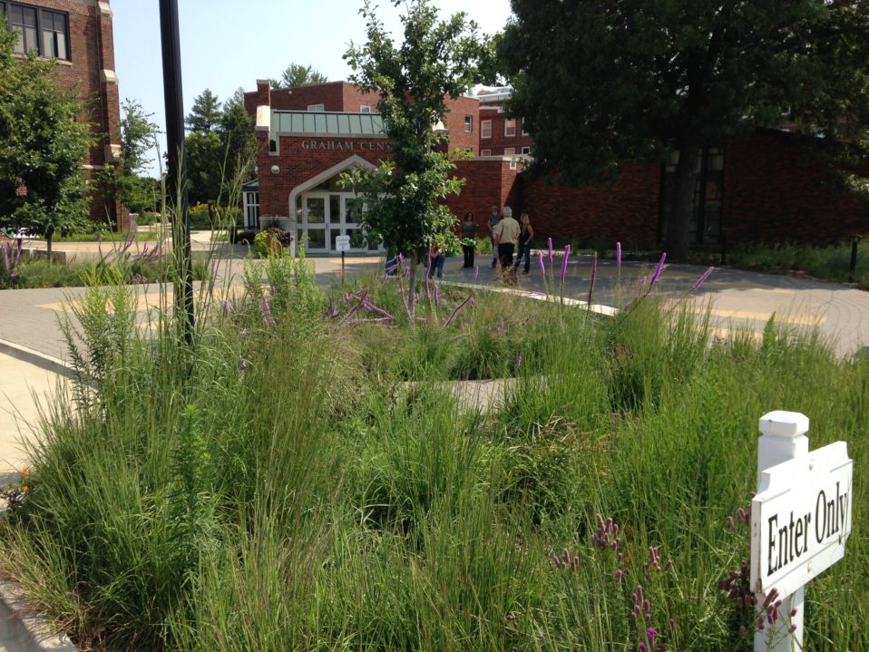 Native Landscaping • Iowa Stormwater Education Partnership