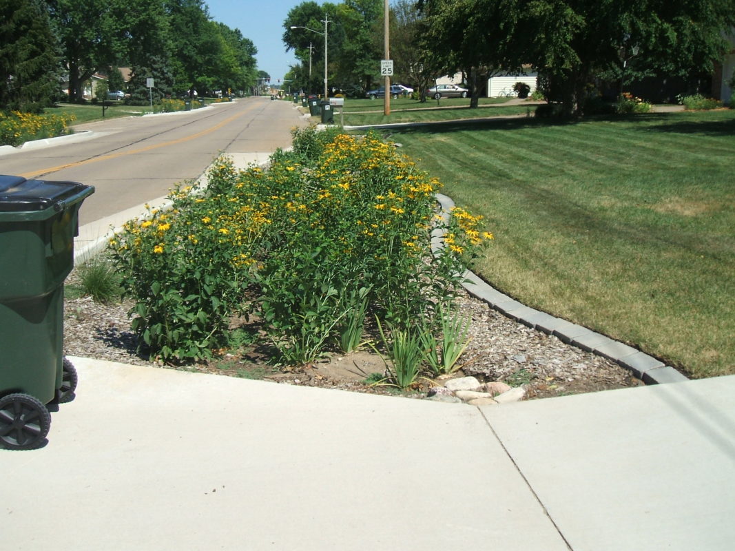 bioswales