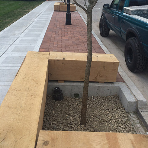 tree boxes