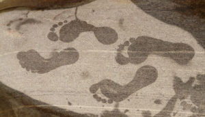 hydro-footprint hydro-footprint