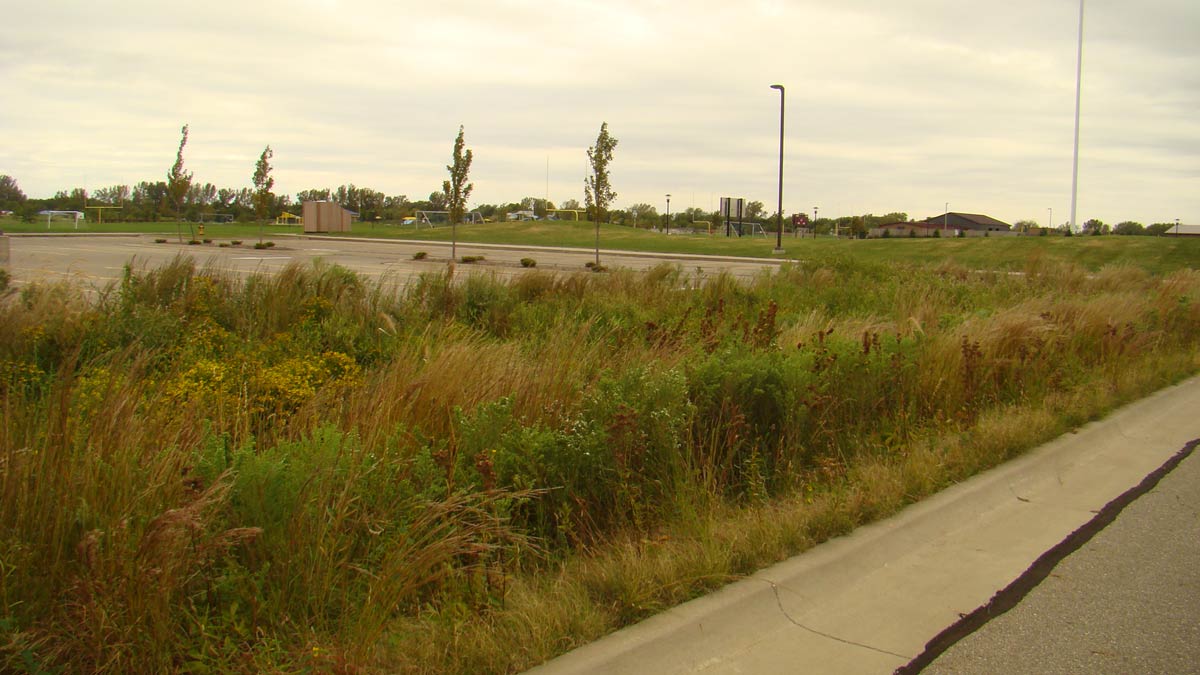 bioretention cells